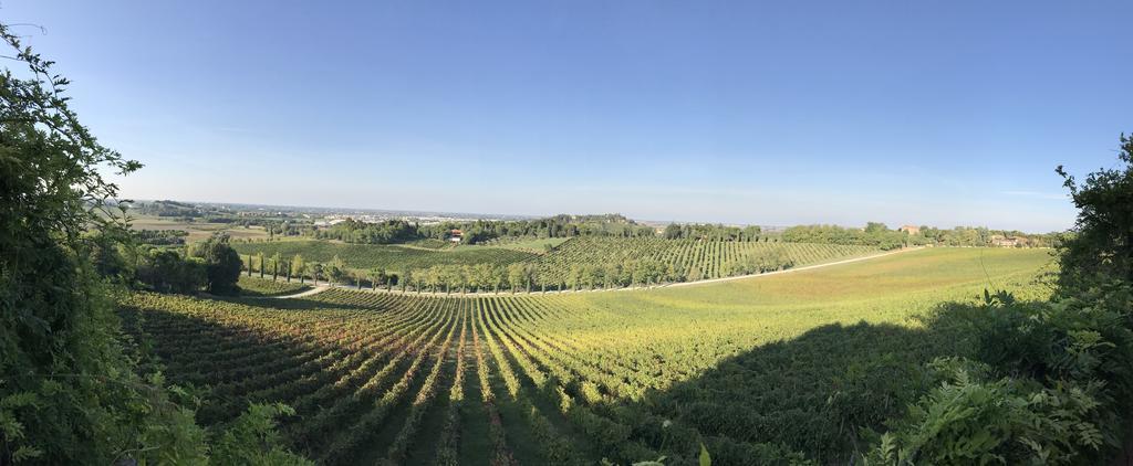 Fattoria Paradiso Bertinoro Dış mekan fotoğraf