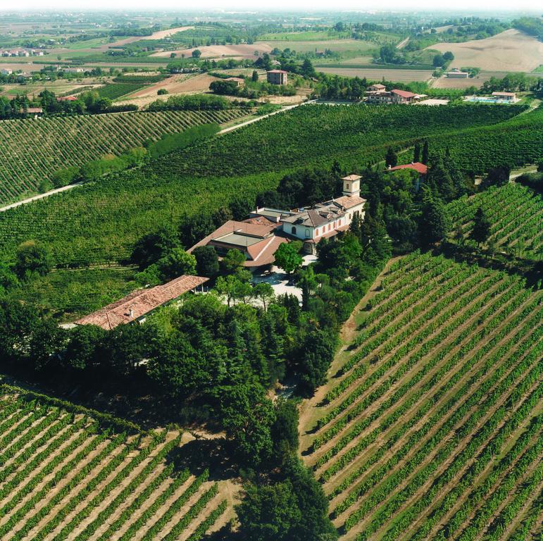 Fattoria Paradiso Bertinoro Dış mekan fotoğraf